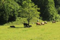 2015-07-01_1Pano-bei-Lacke (109).JPG